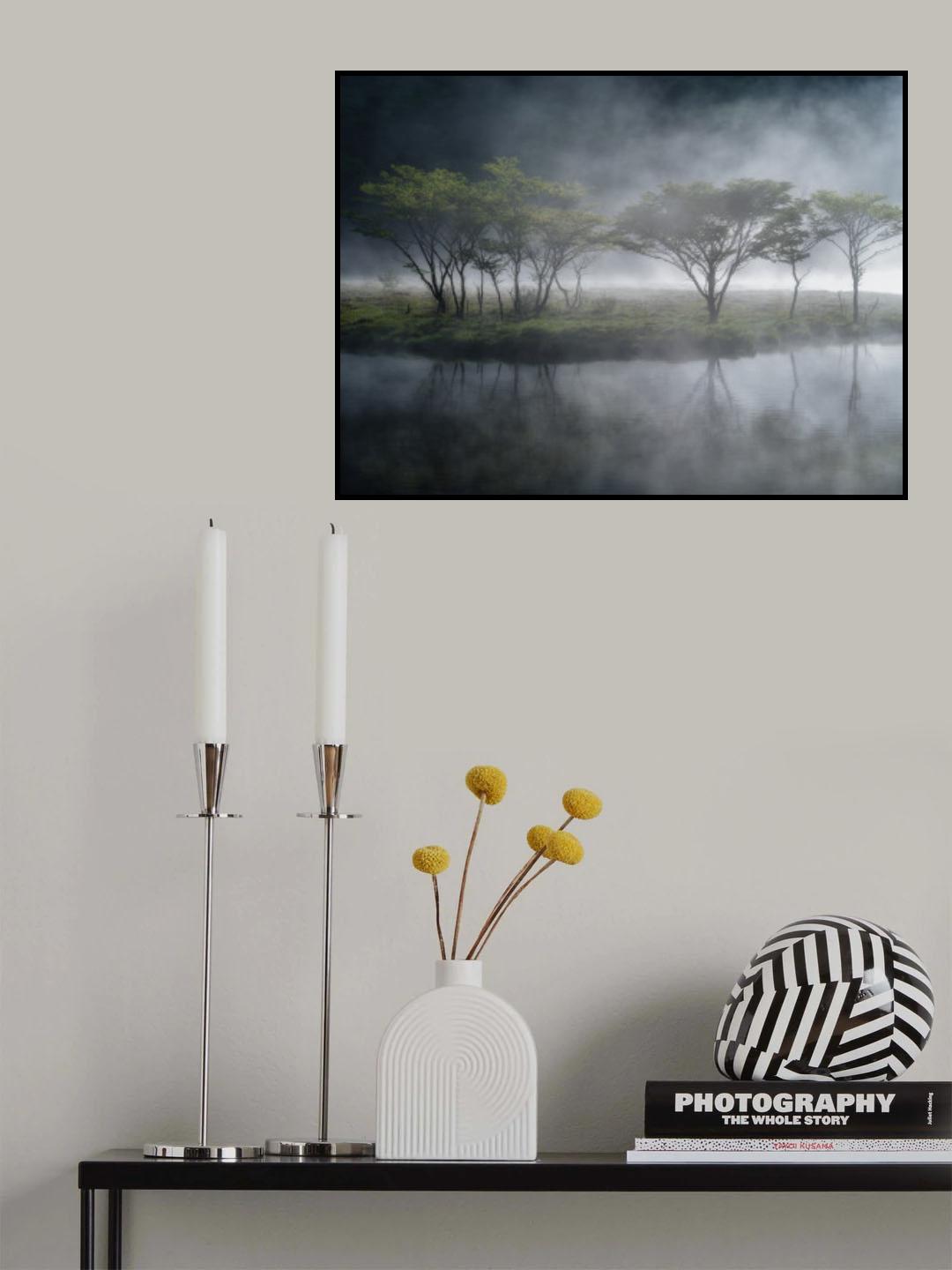 Trees in the Mist Poster och Canvastavla