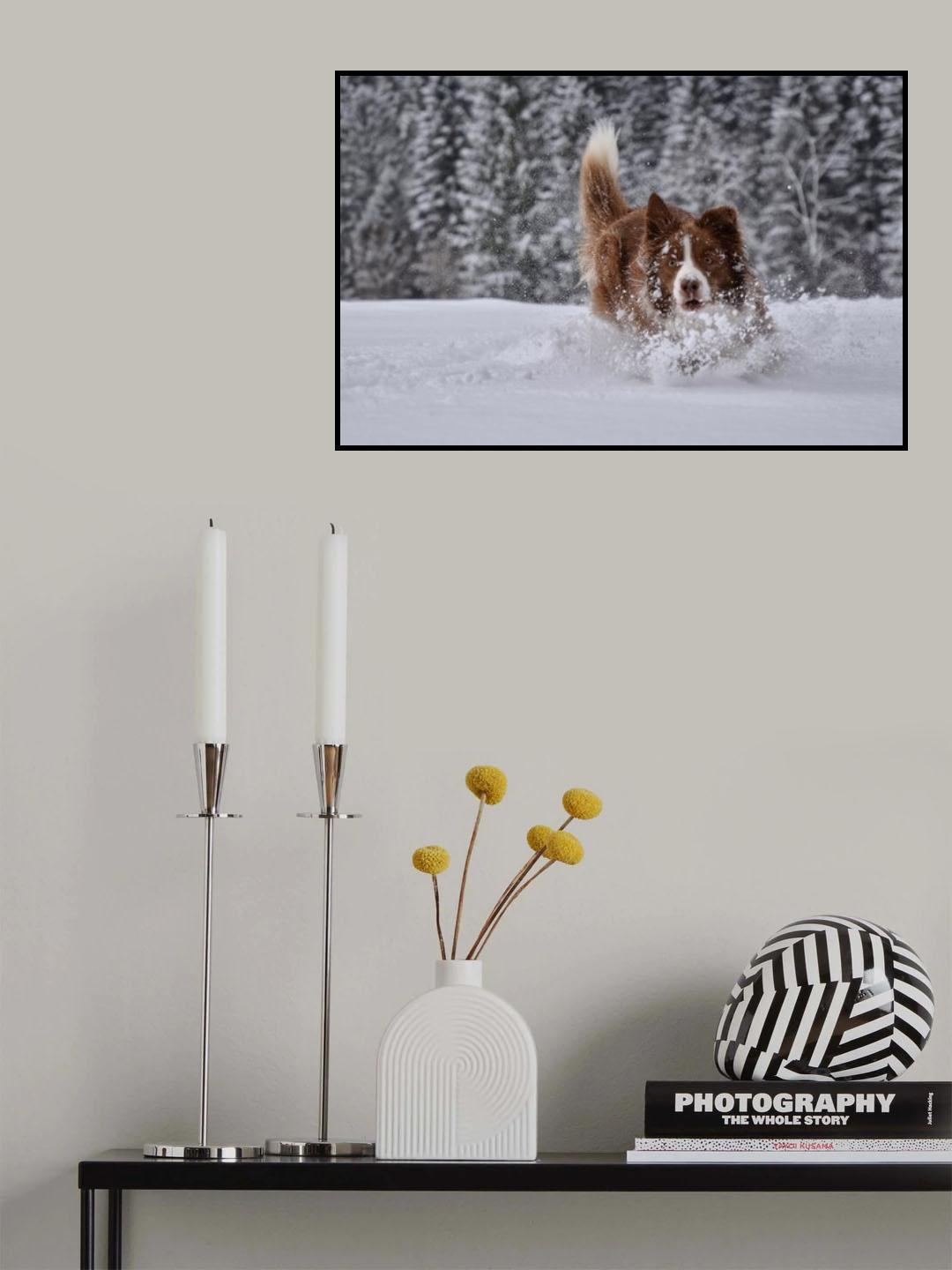 Lexi Poster och Canvastavla
