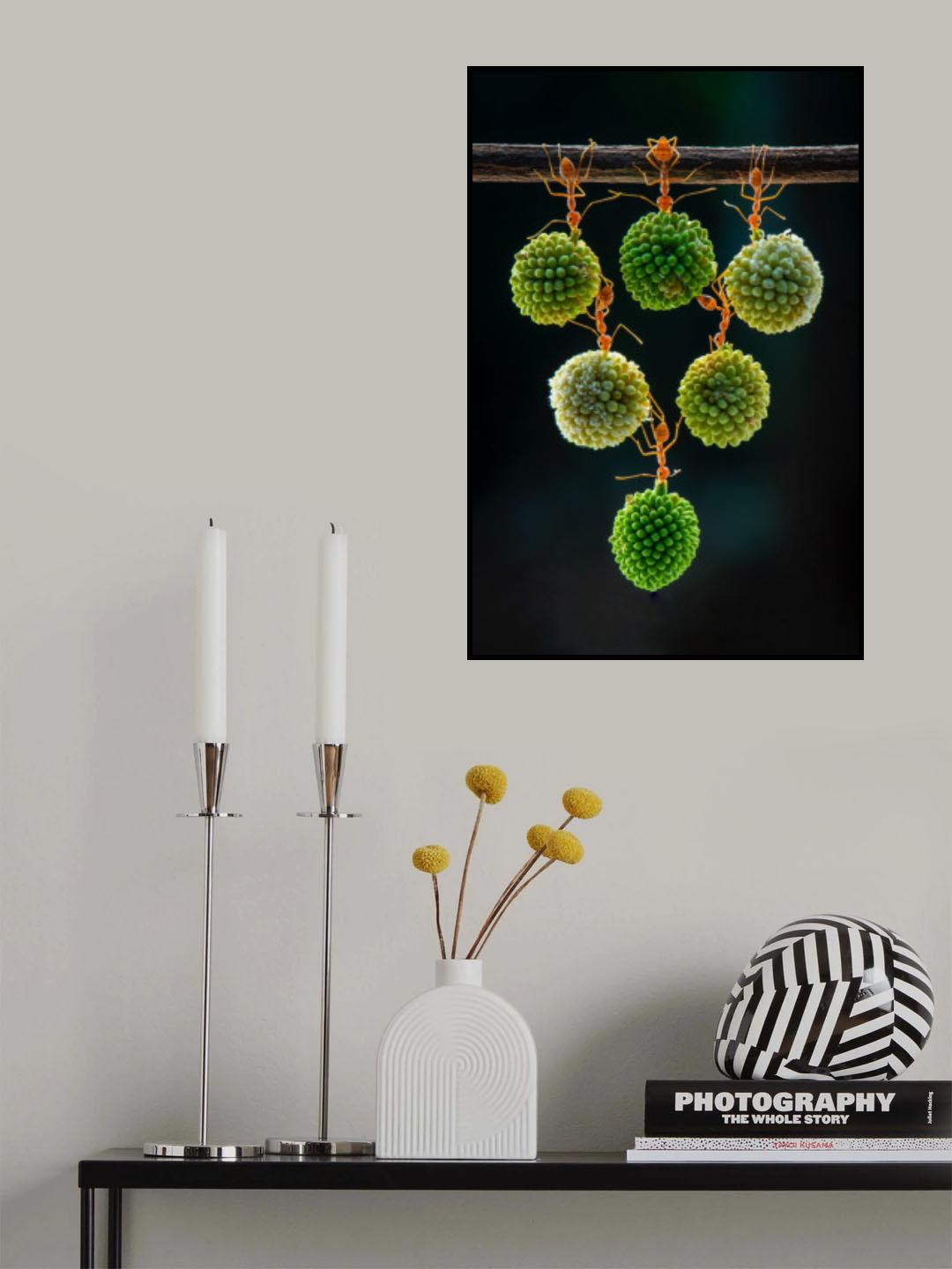 Ants collaboration Poster och Canvastavla