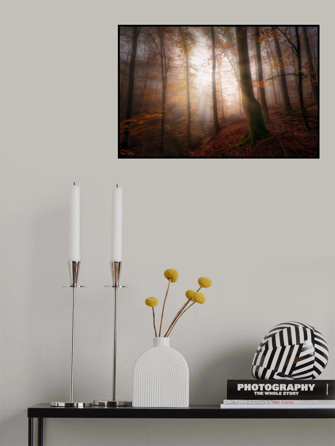 Autumn morning Poster och Canvastavla