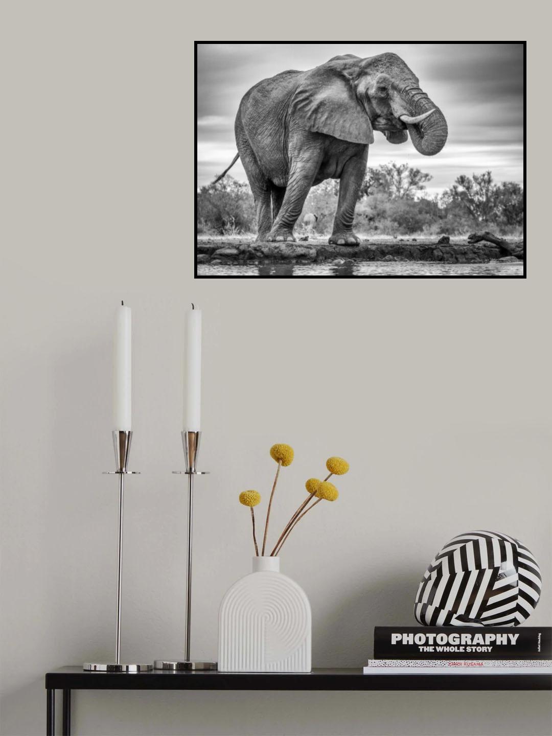 Standing Proud Poster och Canvastavla