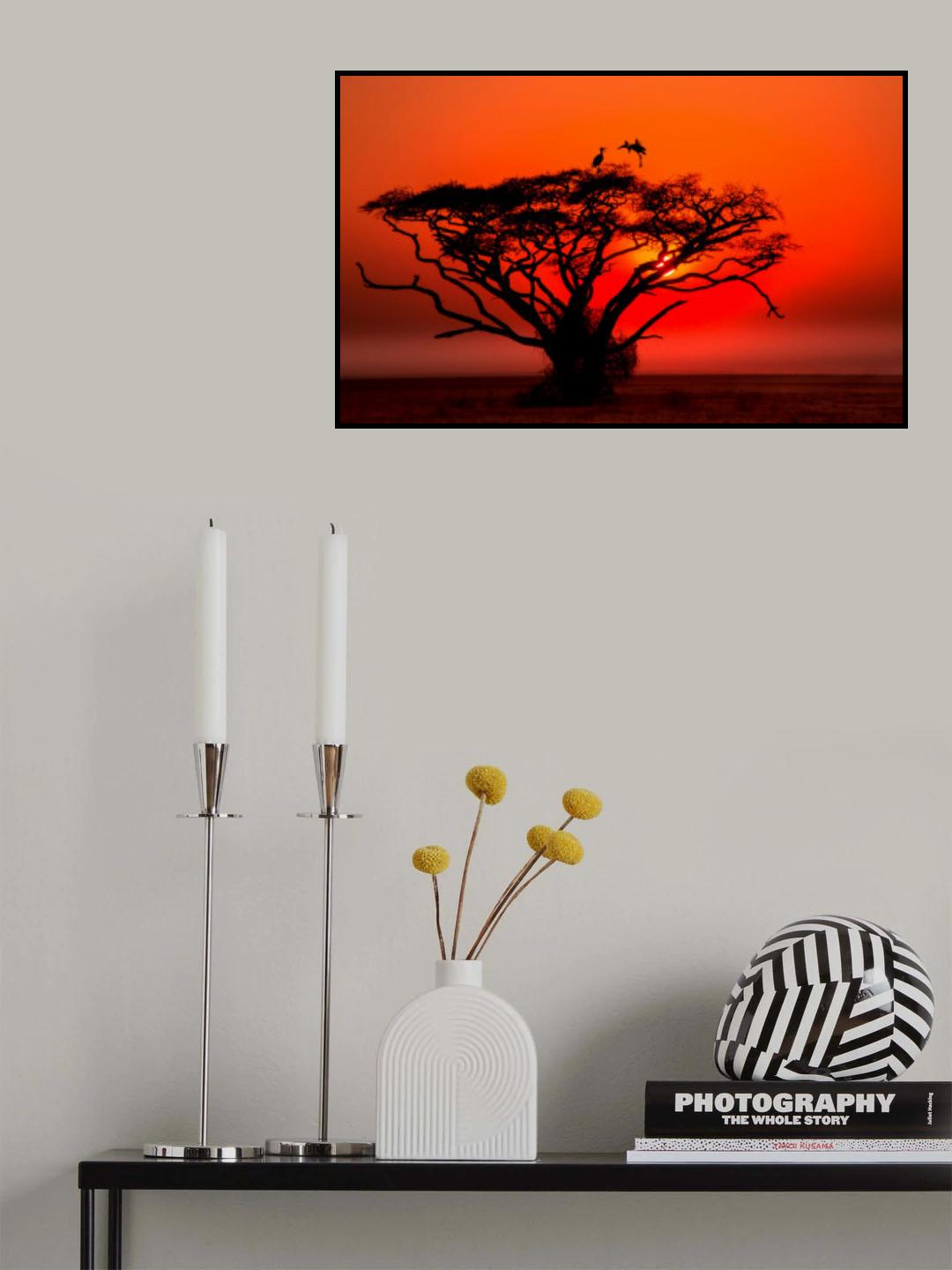 Africa sunset Poster och Canvastavla