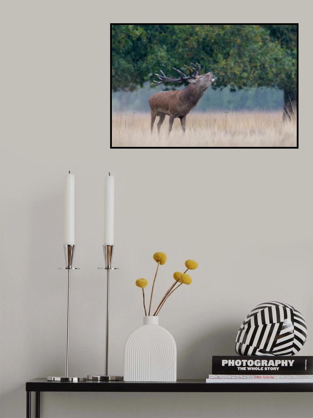 September's song Poster och Canvastavla