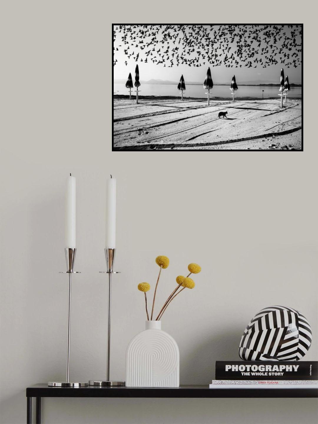 Birds in flight Poster och Canvastavla