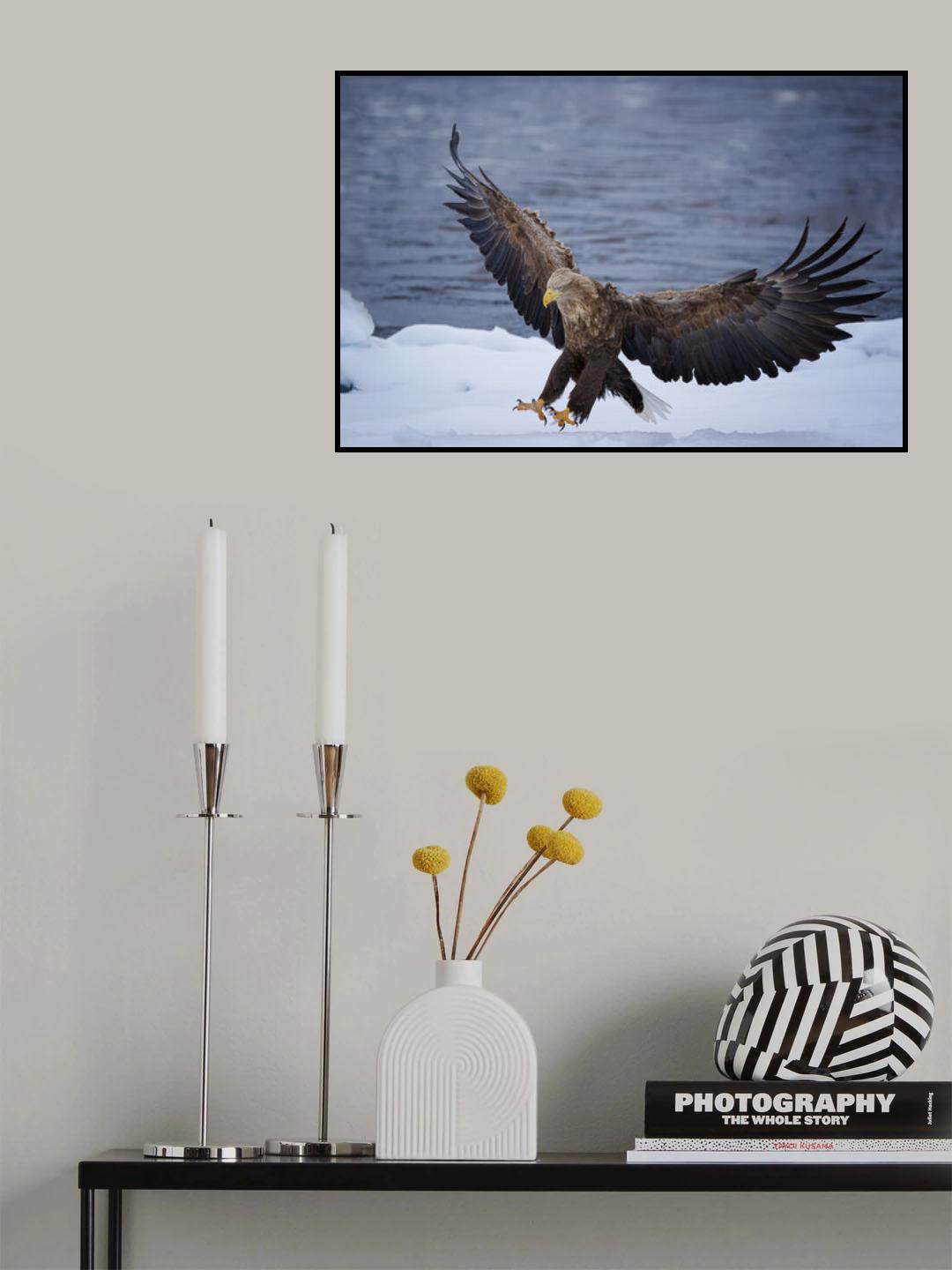 Landing Poster och Canvastavla