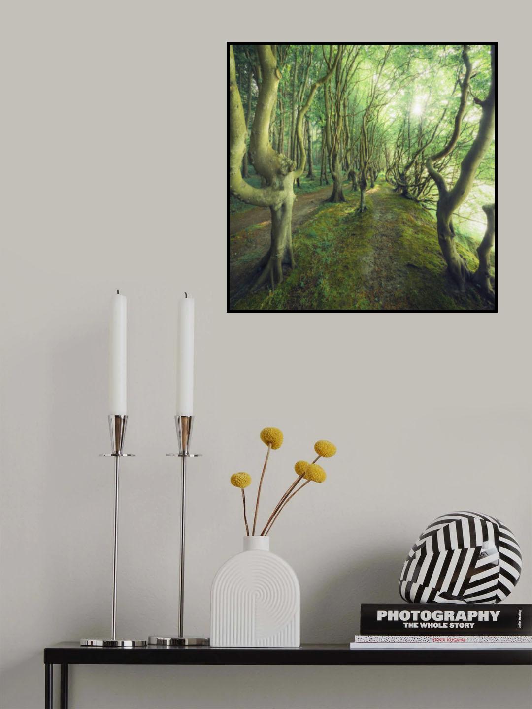 Crazy Lane Poster och Canvastavla