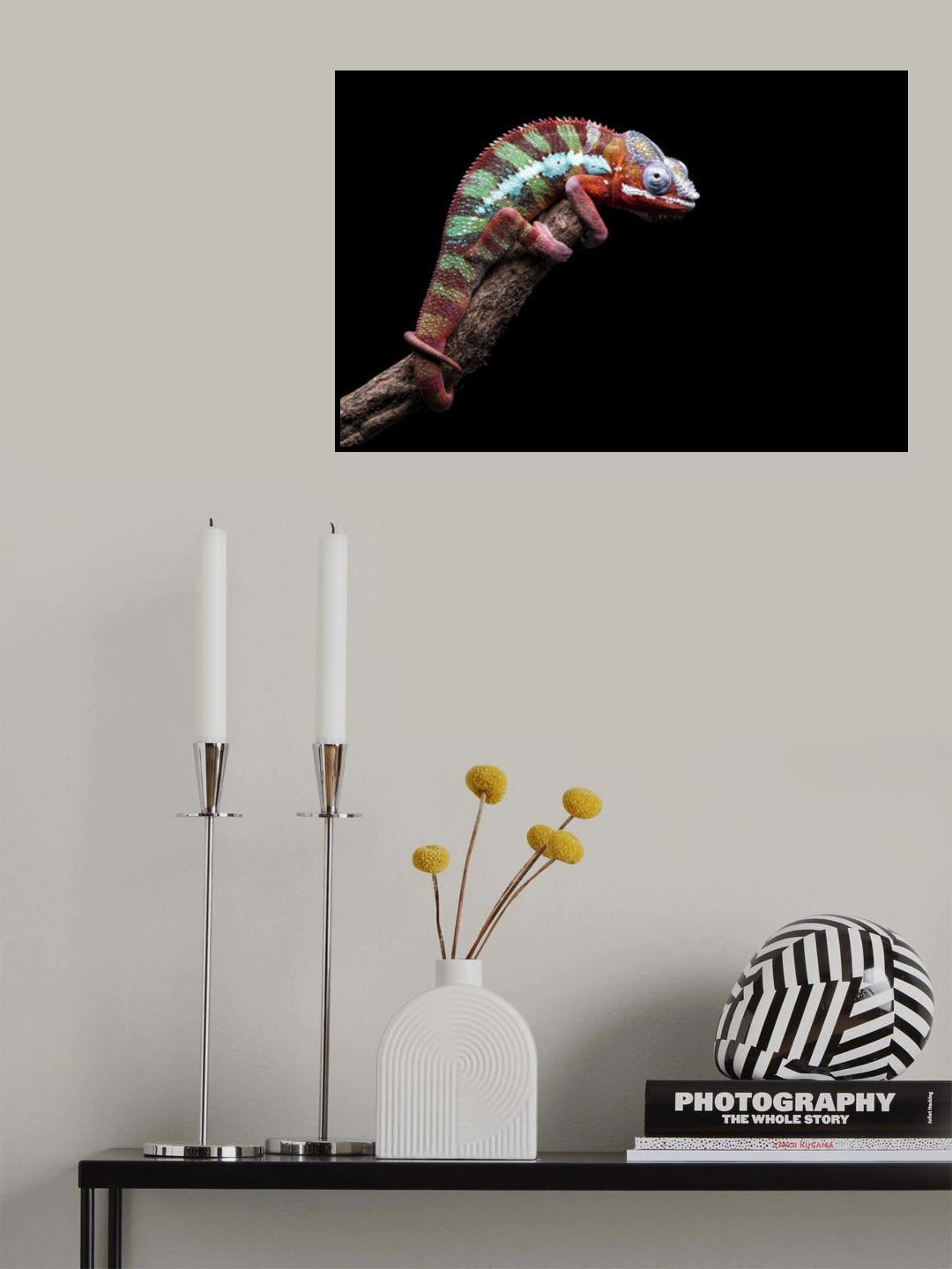 I Have A Eye On You Poster och Canvastavla