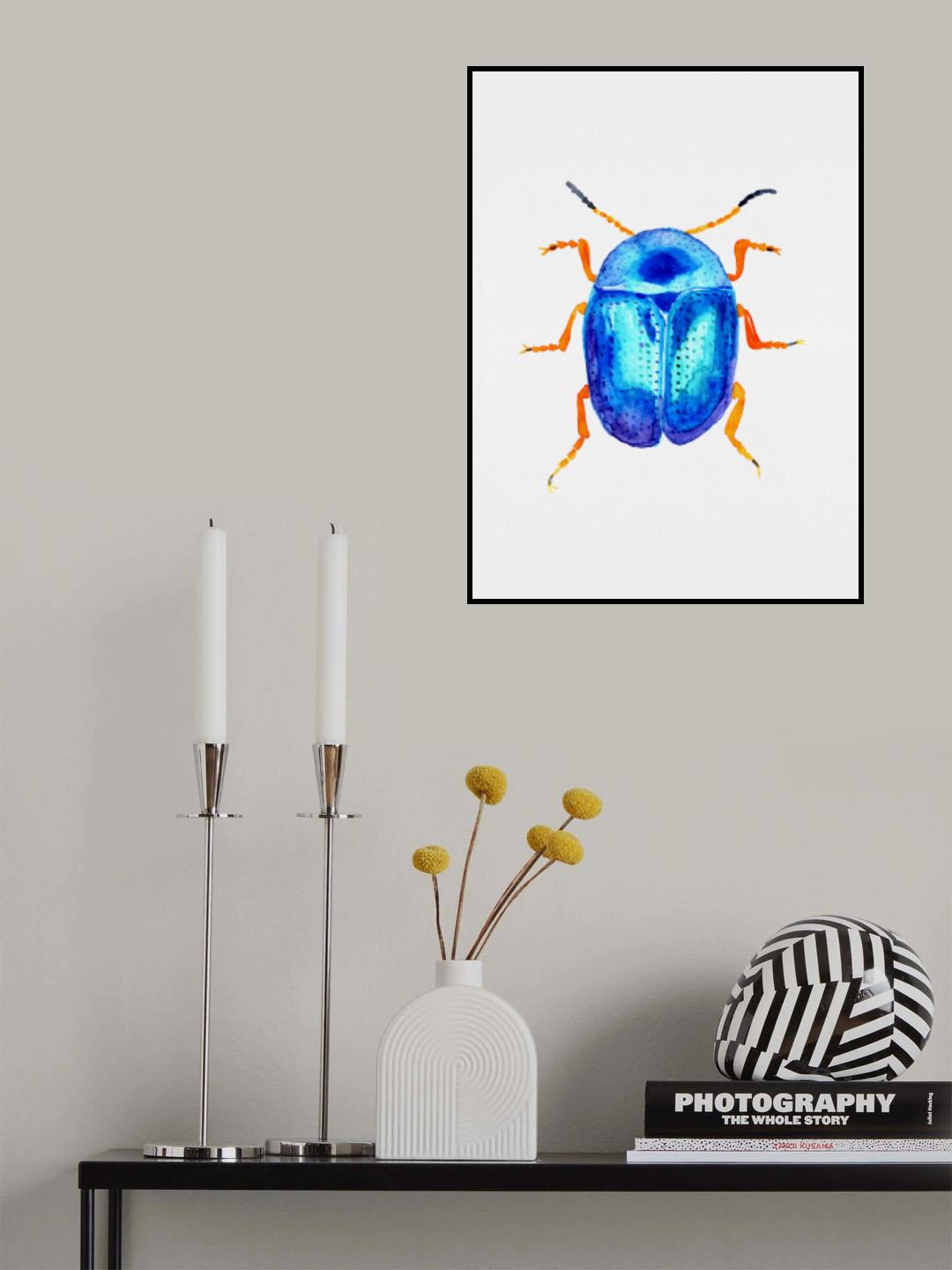 Blue leaf beetle or Colaphus sophiae Poster och Canvastavla