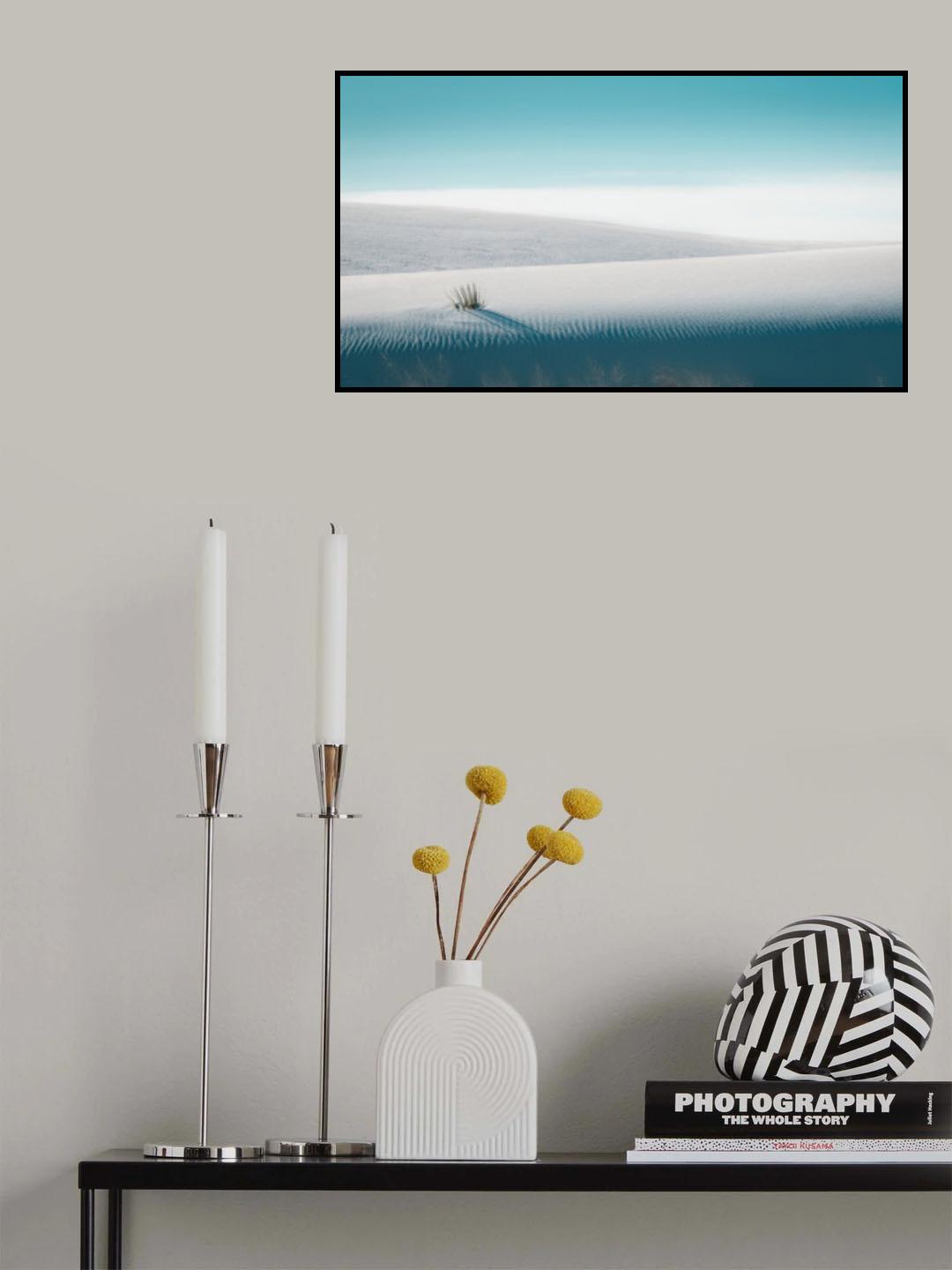Growing in White Sands Poster och Canvastavla