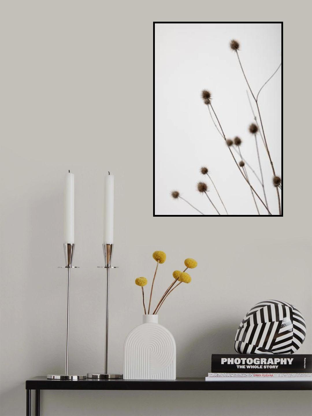 Thistle Grey 01 Poster och Canvastavla