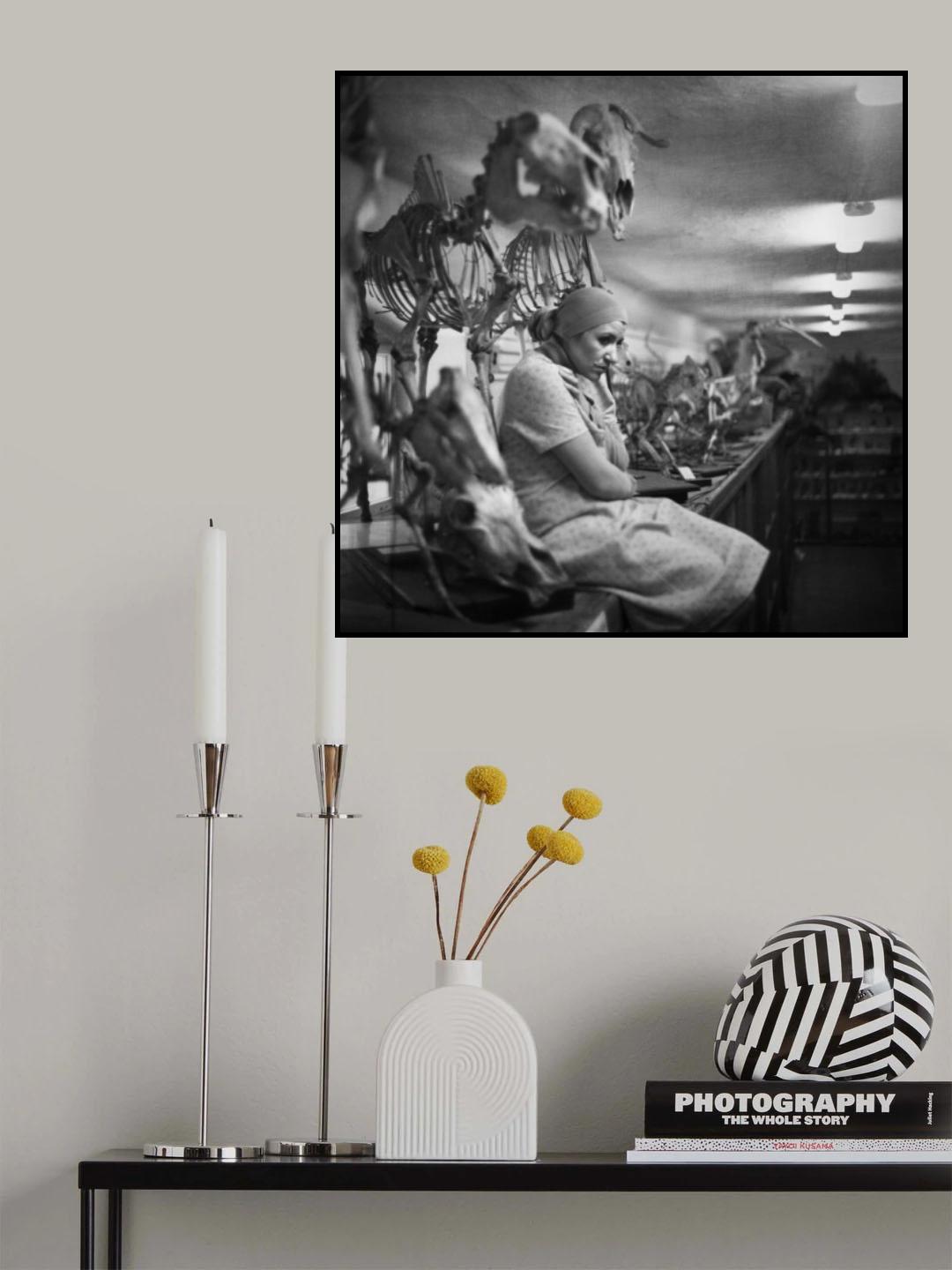 *** Poster och Canvastavla