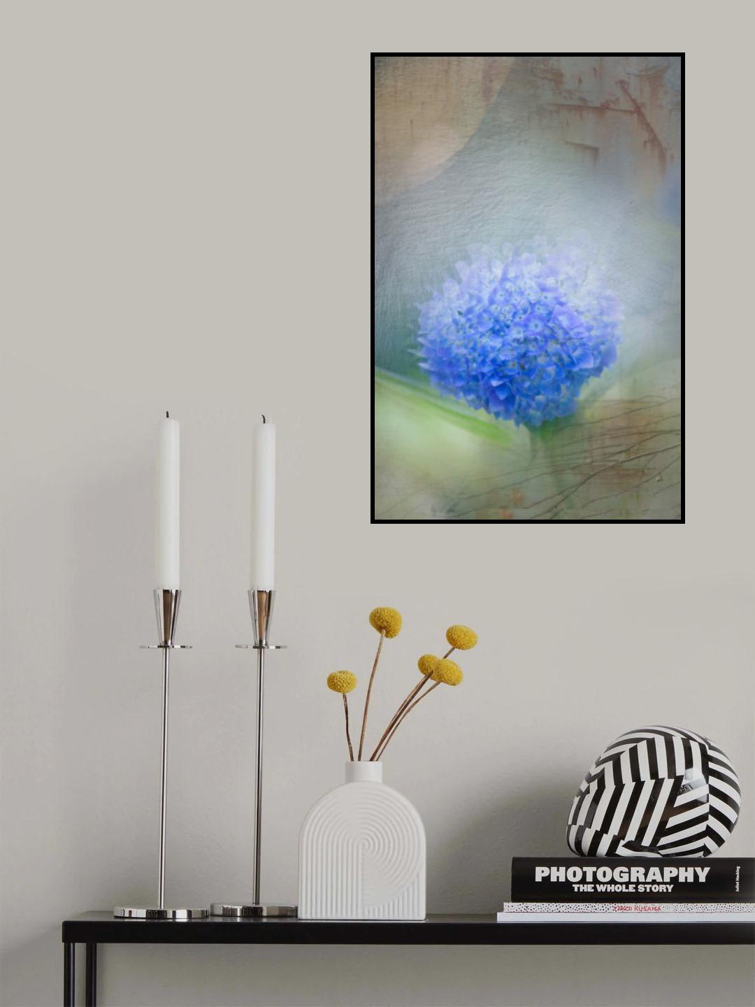 hydrangea Poster och Canvastavla
