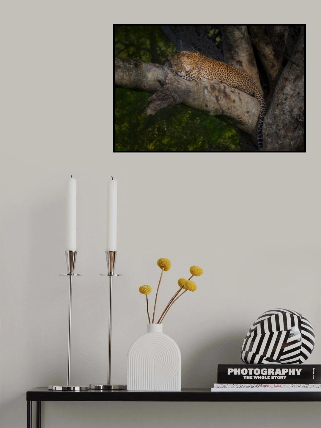 Leopard Poster och Canvastavla