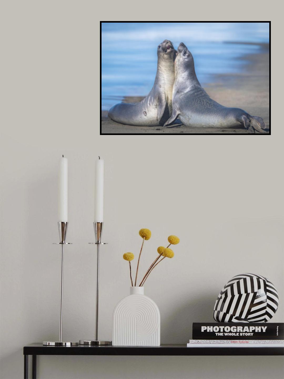 Love is where you find it Poster och Canvastavla