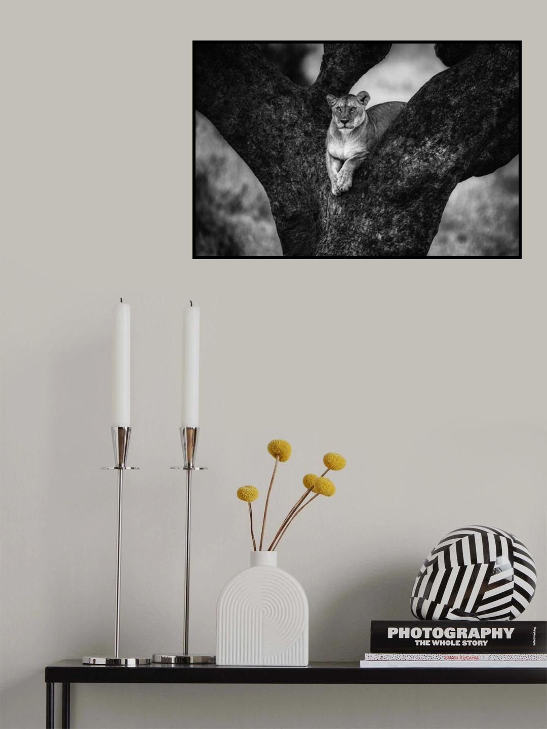 Tree Lady Poster och Canvastavla