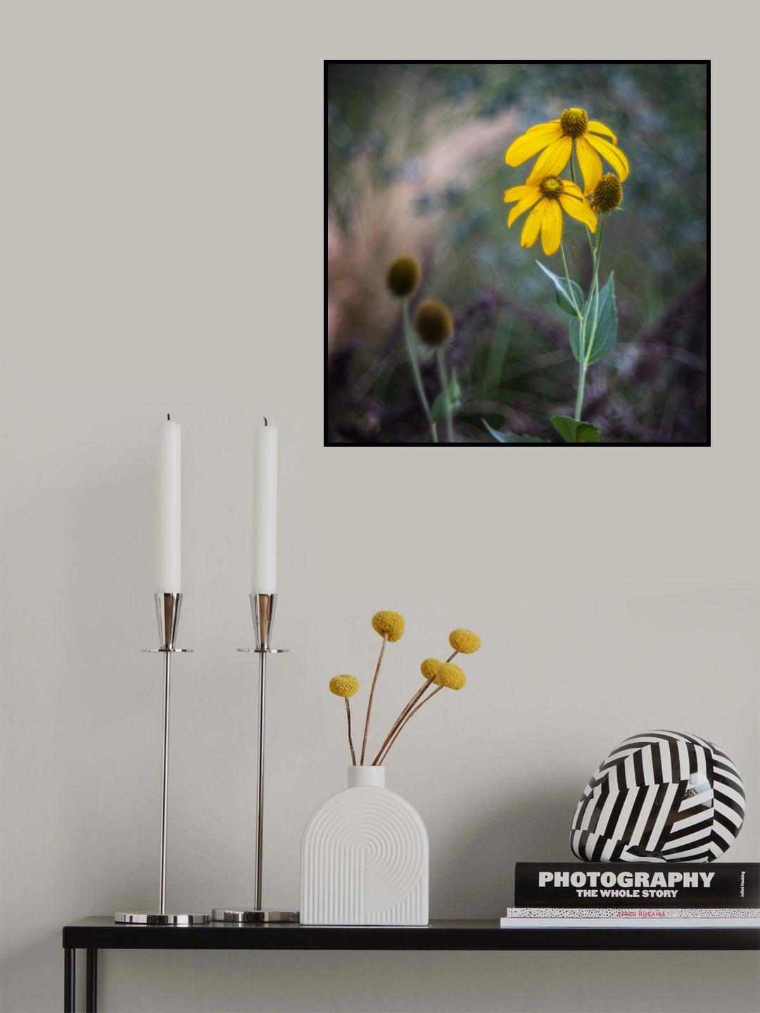 The end of a flower Poster och Canvastavla