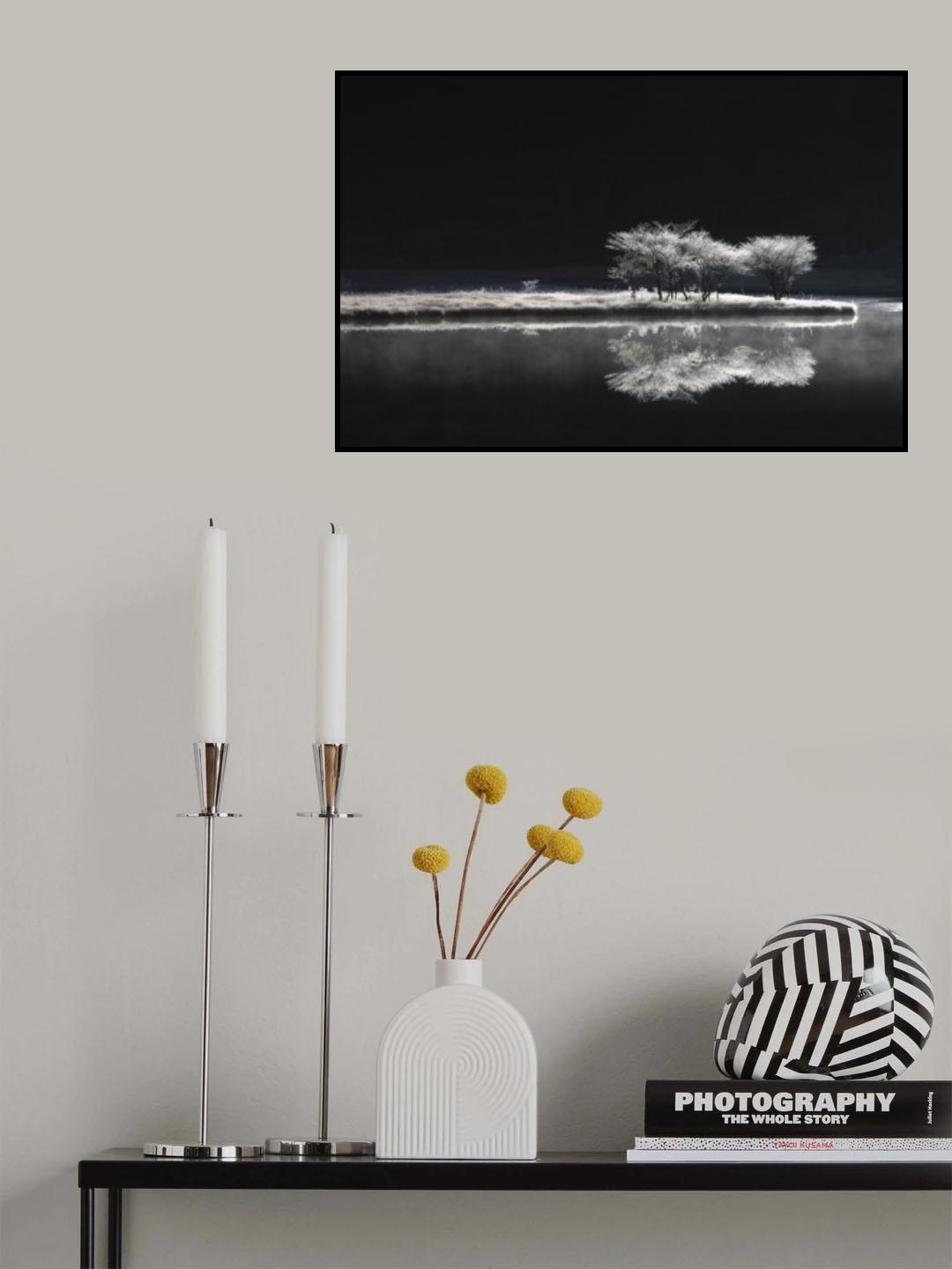 The colorless world Poster och Canvastavla