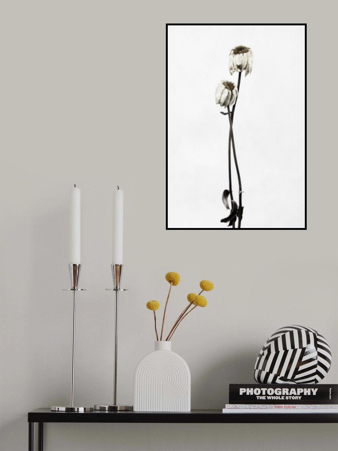 Drought Poster och Canvastavla