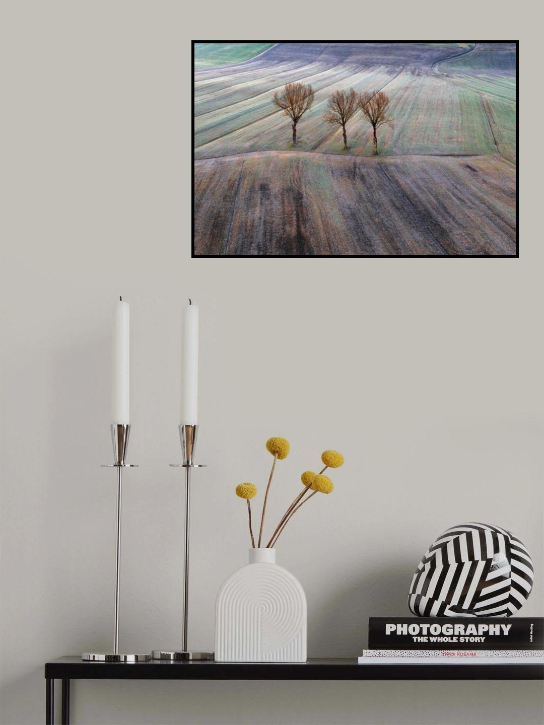 Winter in Tuscany Poster och Canvastavla
