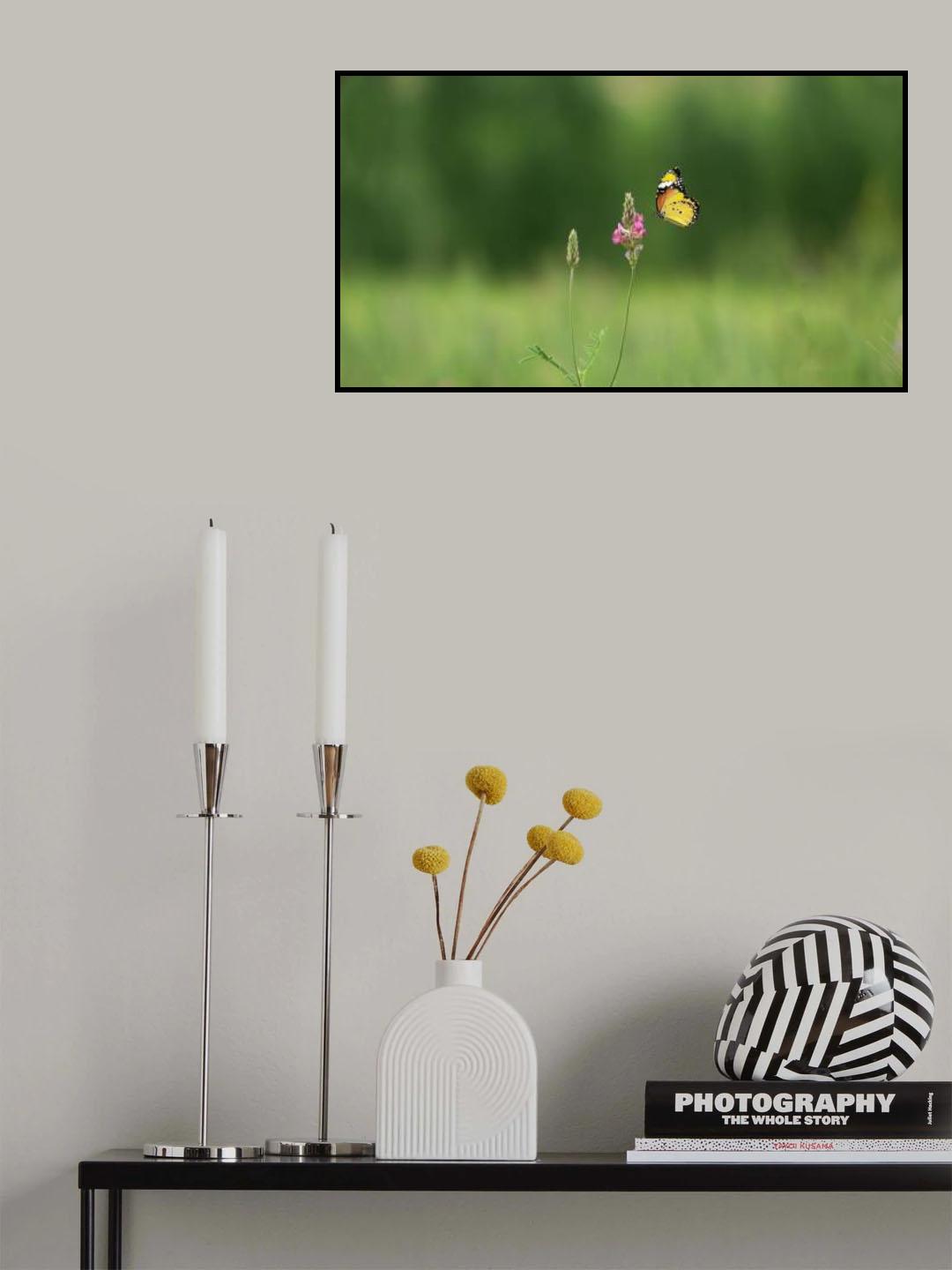 taken with panasonic fz300 Poster och Canvastavla