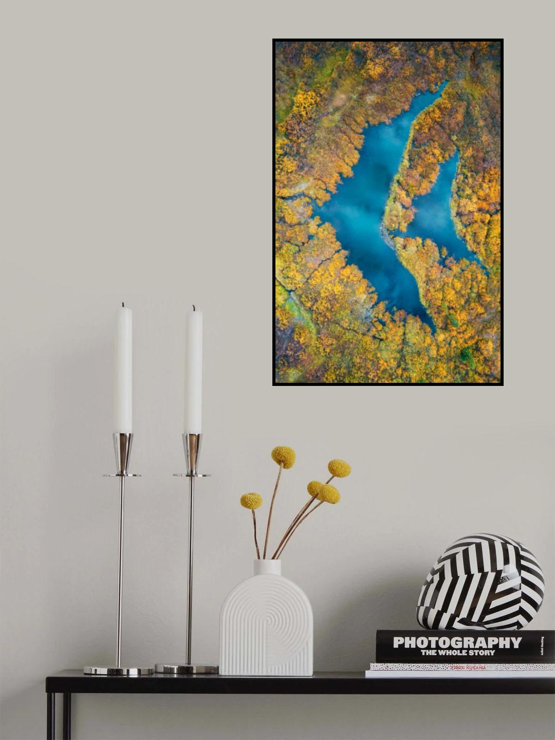 Swimming in Autumn Poster och Canvastavla
