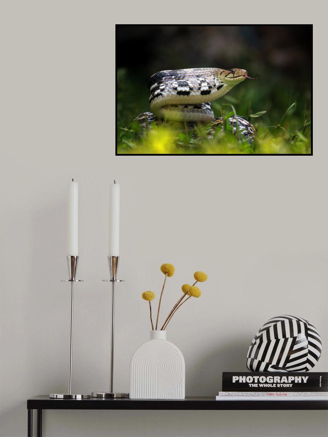 Copper-headed Trinket Snake Poster och Canvastavla