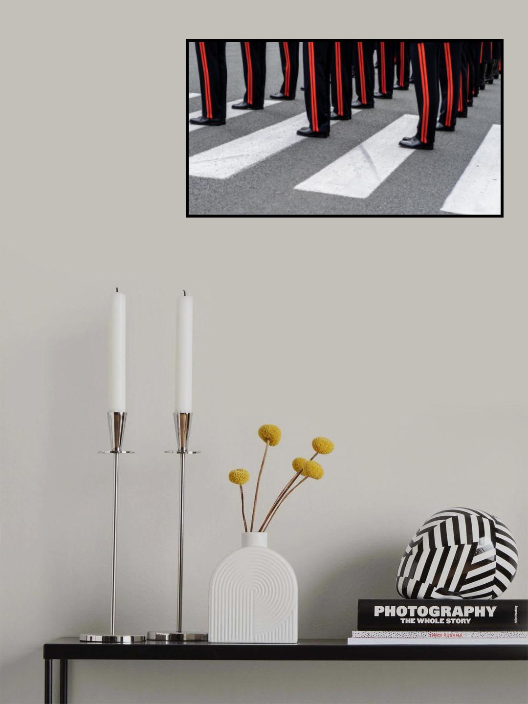 Zebra Poster och Canvastavla