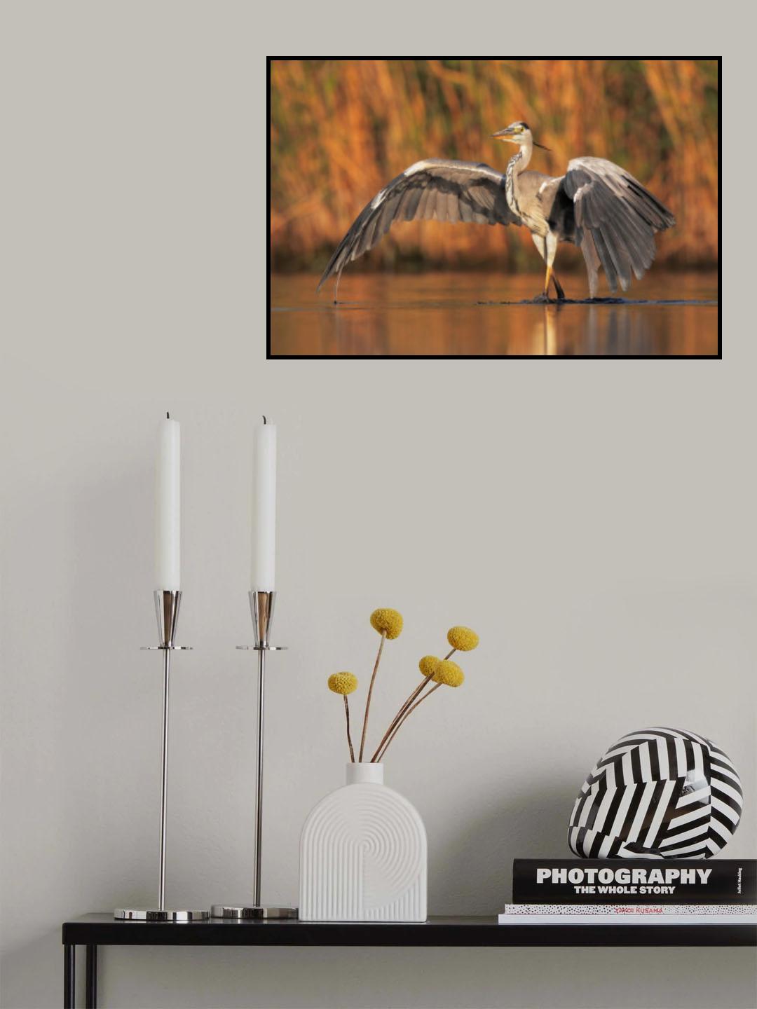 The parade of the heron Poster och Canvastavla