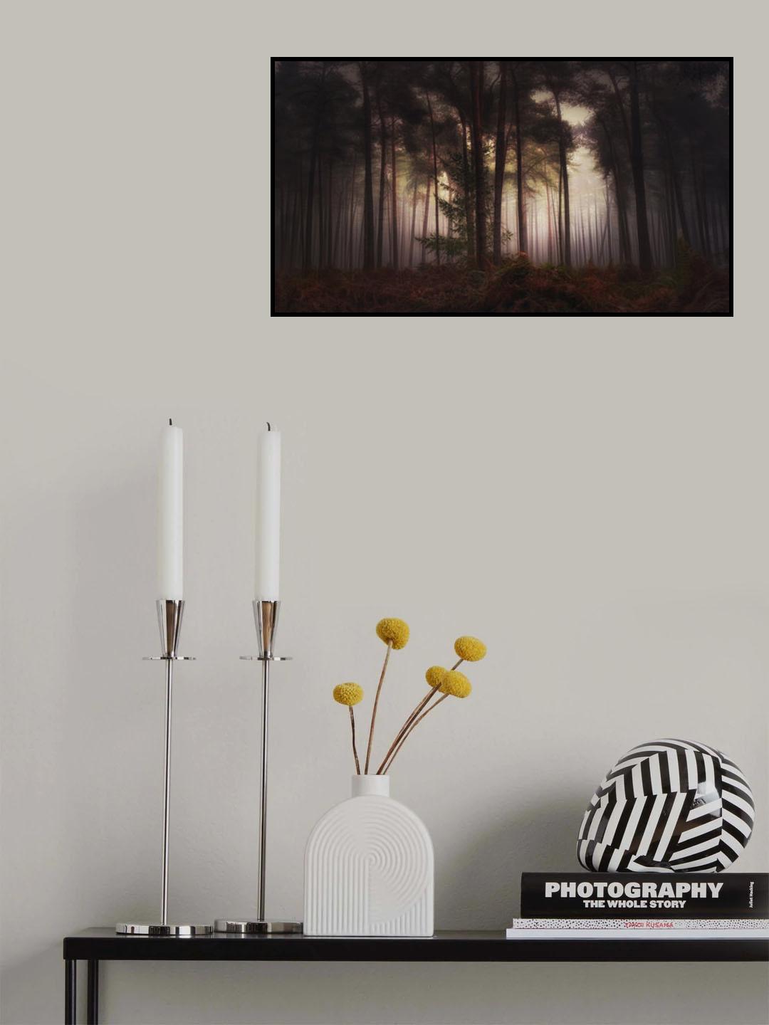 Foggy memory of the past Poster och Canvastavla