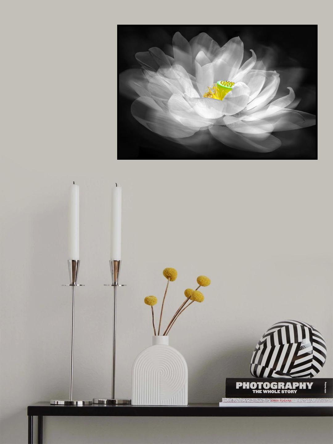 Illusion Poster och Canvastavla