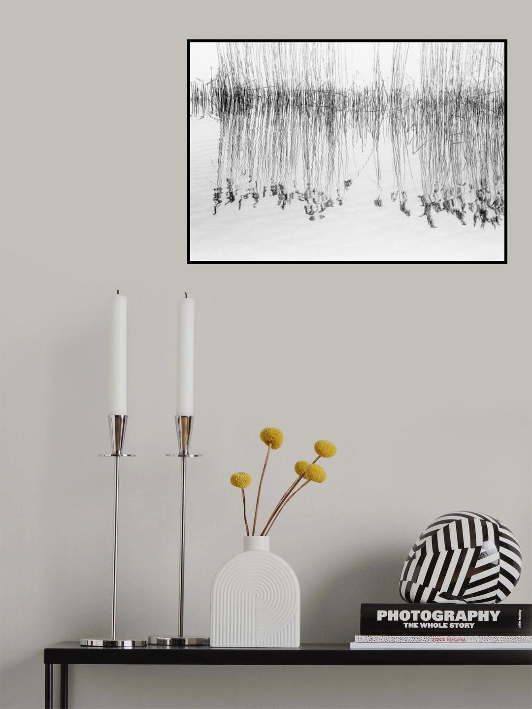 reed Poster och Canvastavla