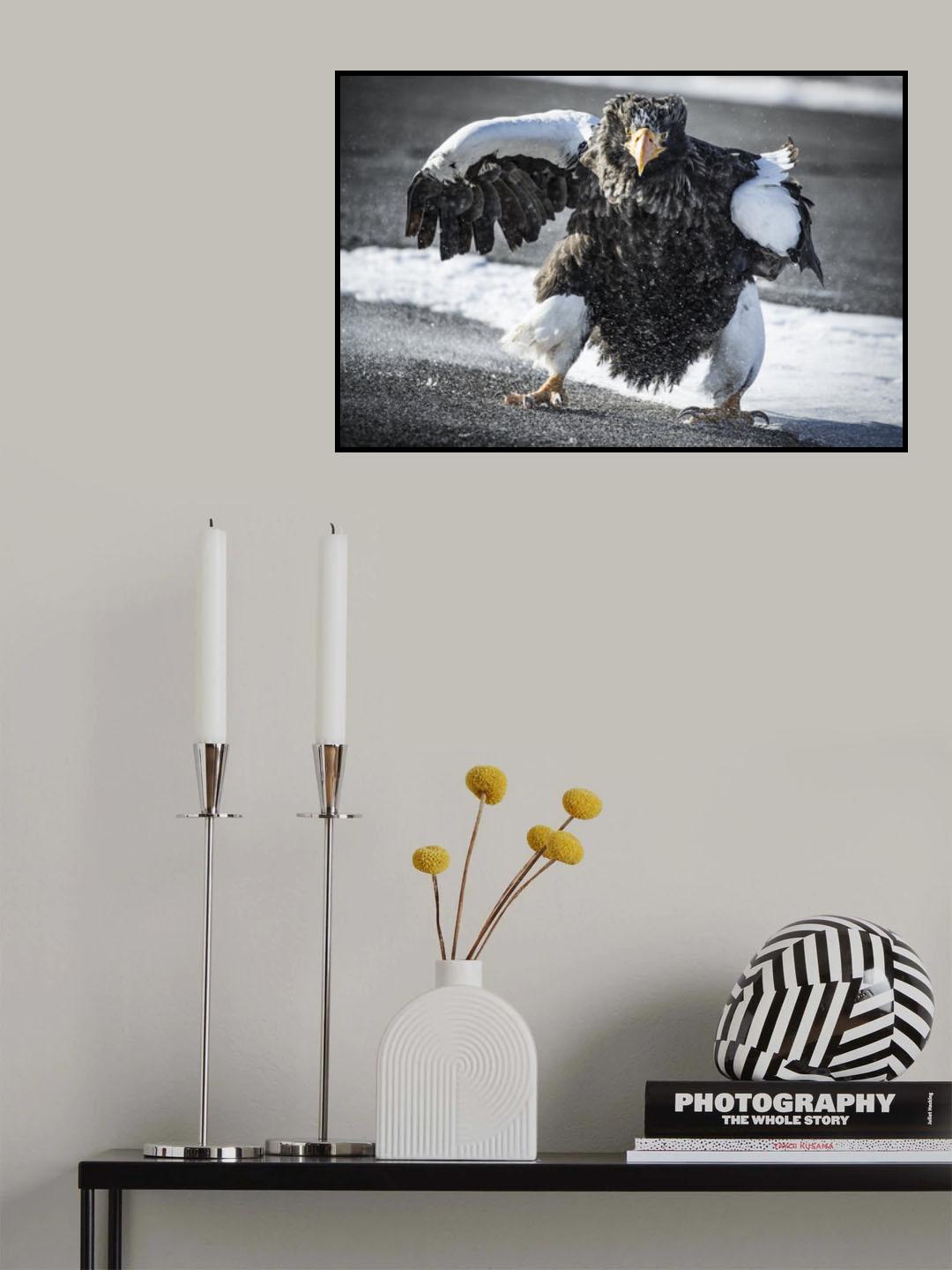 Cat's eye Poster och Canvastavla