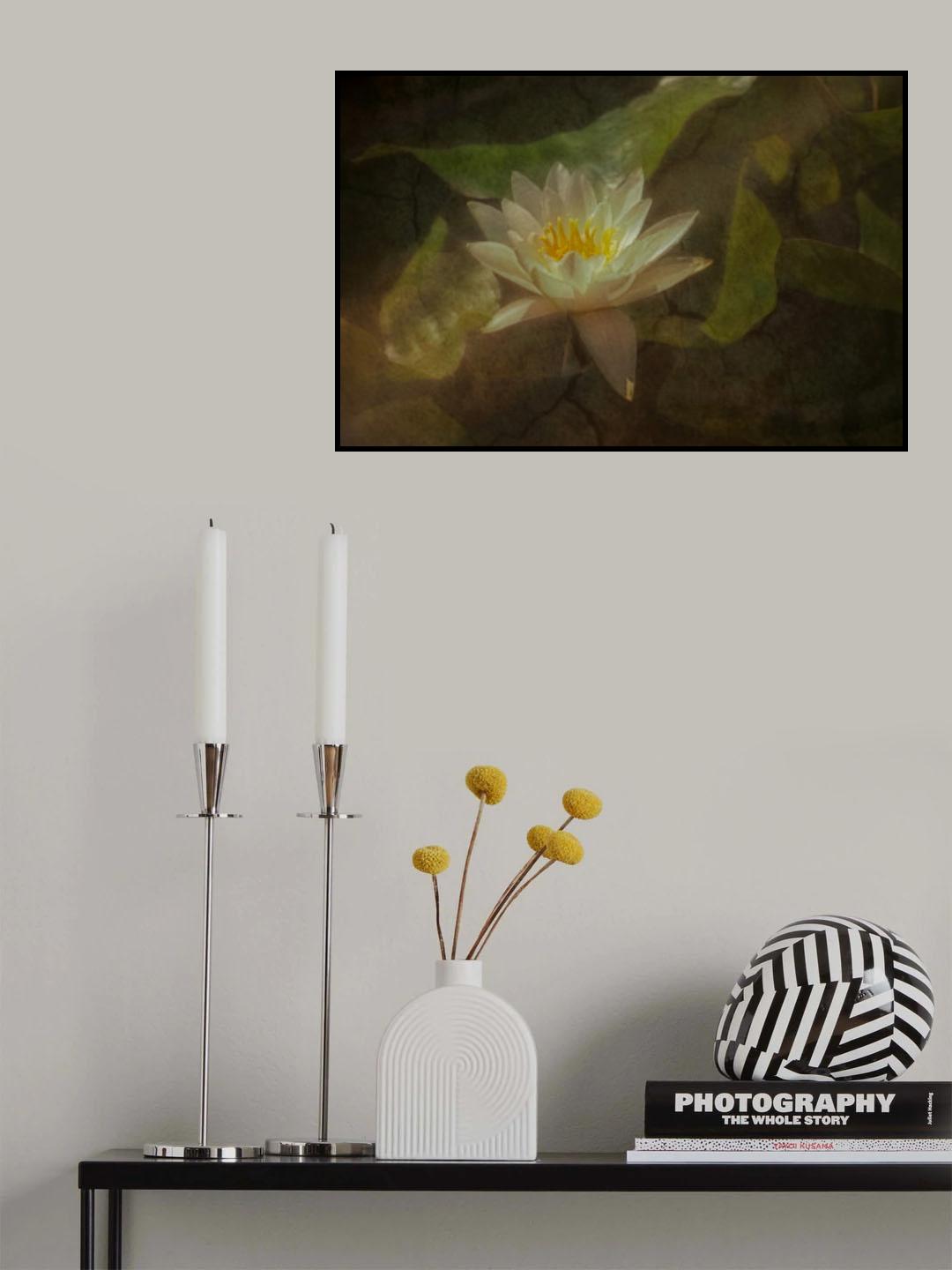 In the pond Poster och Canvastavla