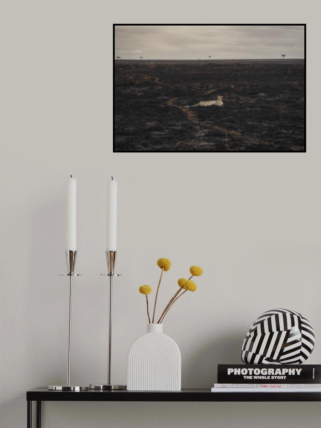 Savannah Burning Poster och Canvastavla