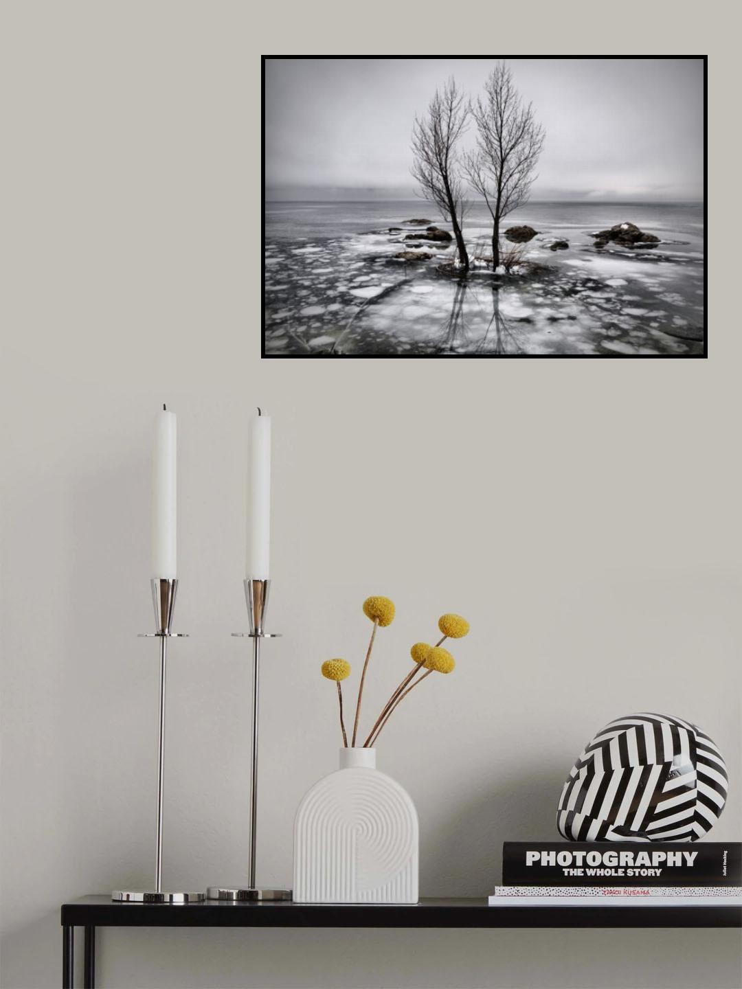 rain and ice Poster och Canvastavla
