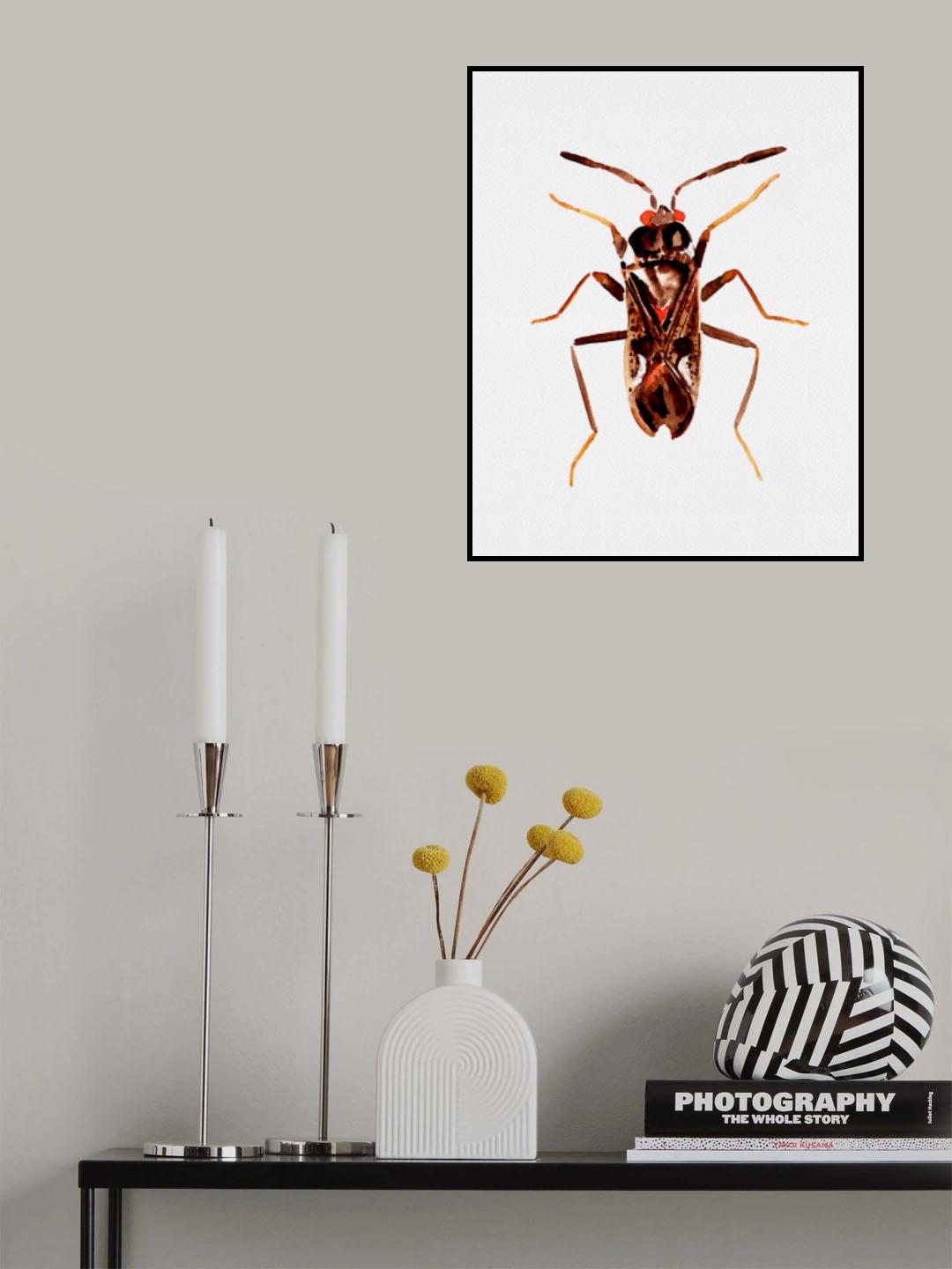 Dirt-colored seed bug or Rhyparochromus vulgaris Poster och Canvastavla