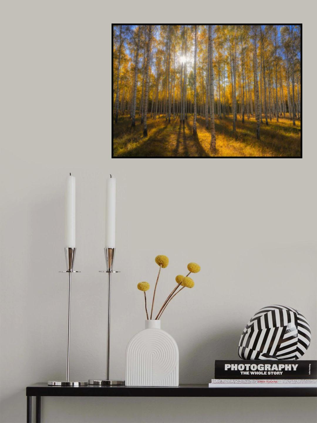 Autumn forest v3 Poster och Canvastavla