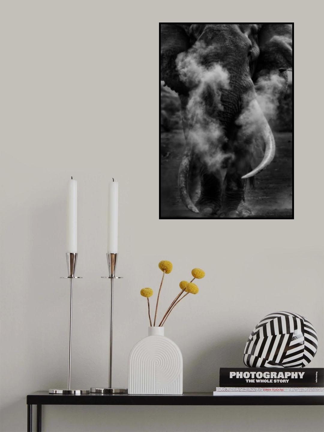 Tim, the big tusker Poster och Canvastavla