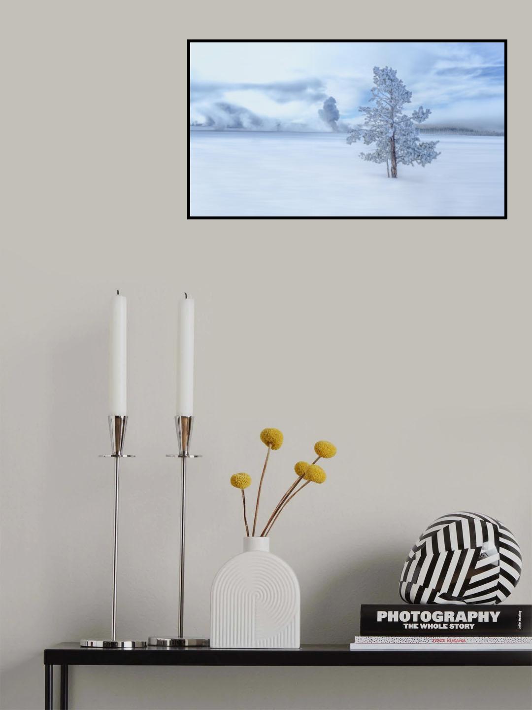 A snow covered longly tree Poster och Canvastavla