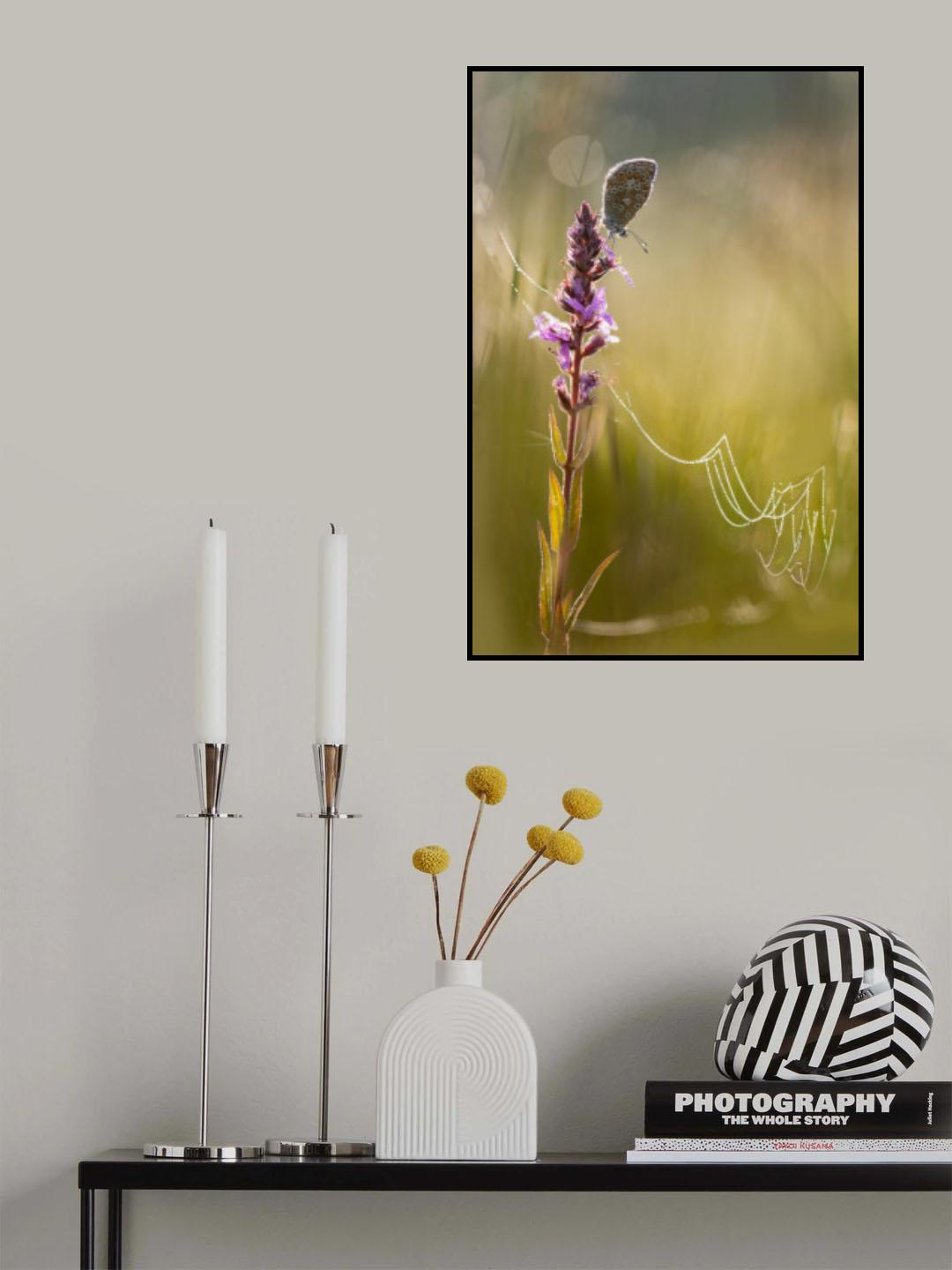 Morning dew Poster och Canvastavla