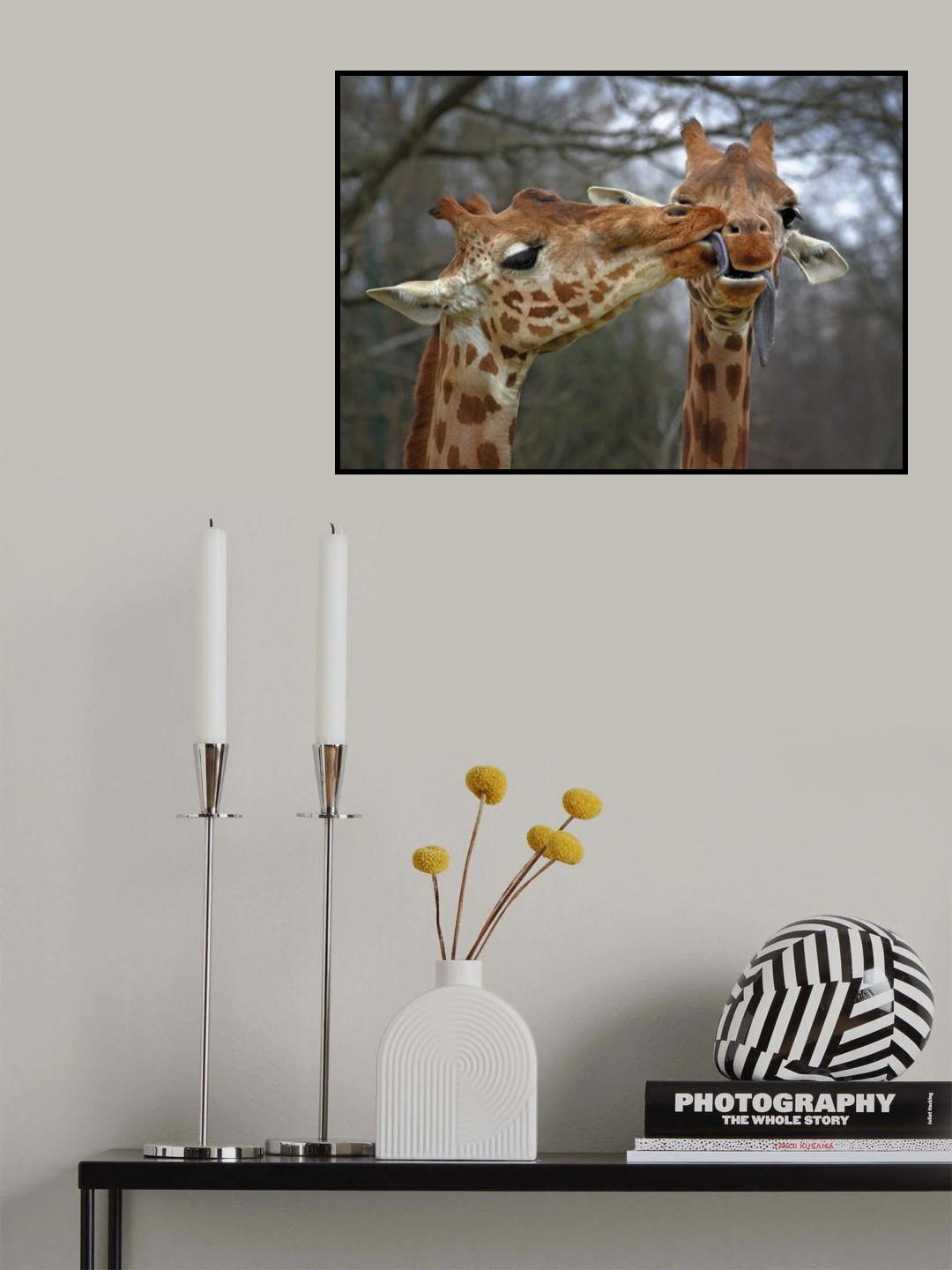 Happy Valentine Poster och Canvastavla
