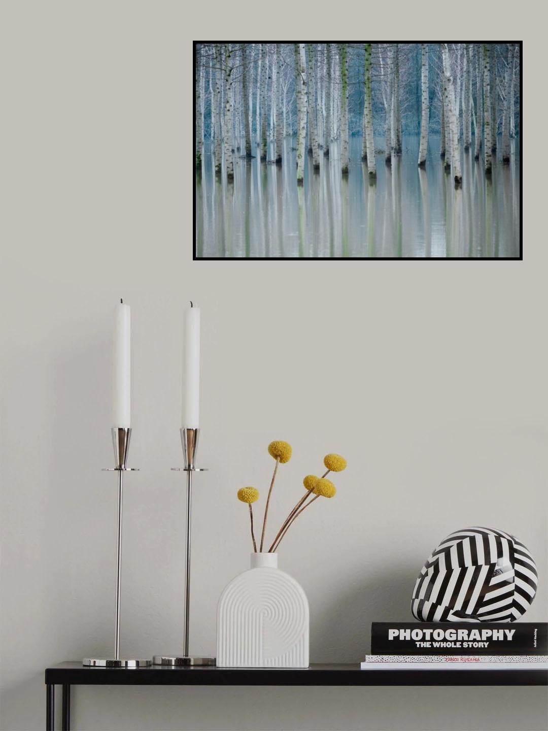 Enchanted forest Poster och Canvastavla