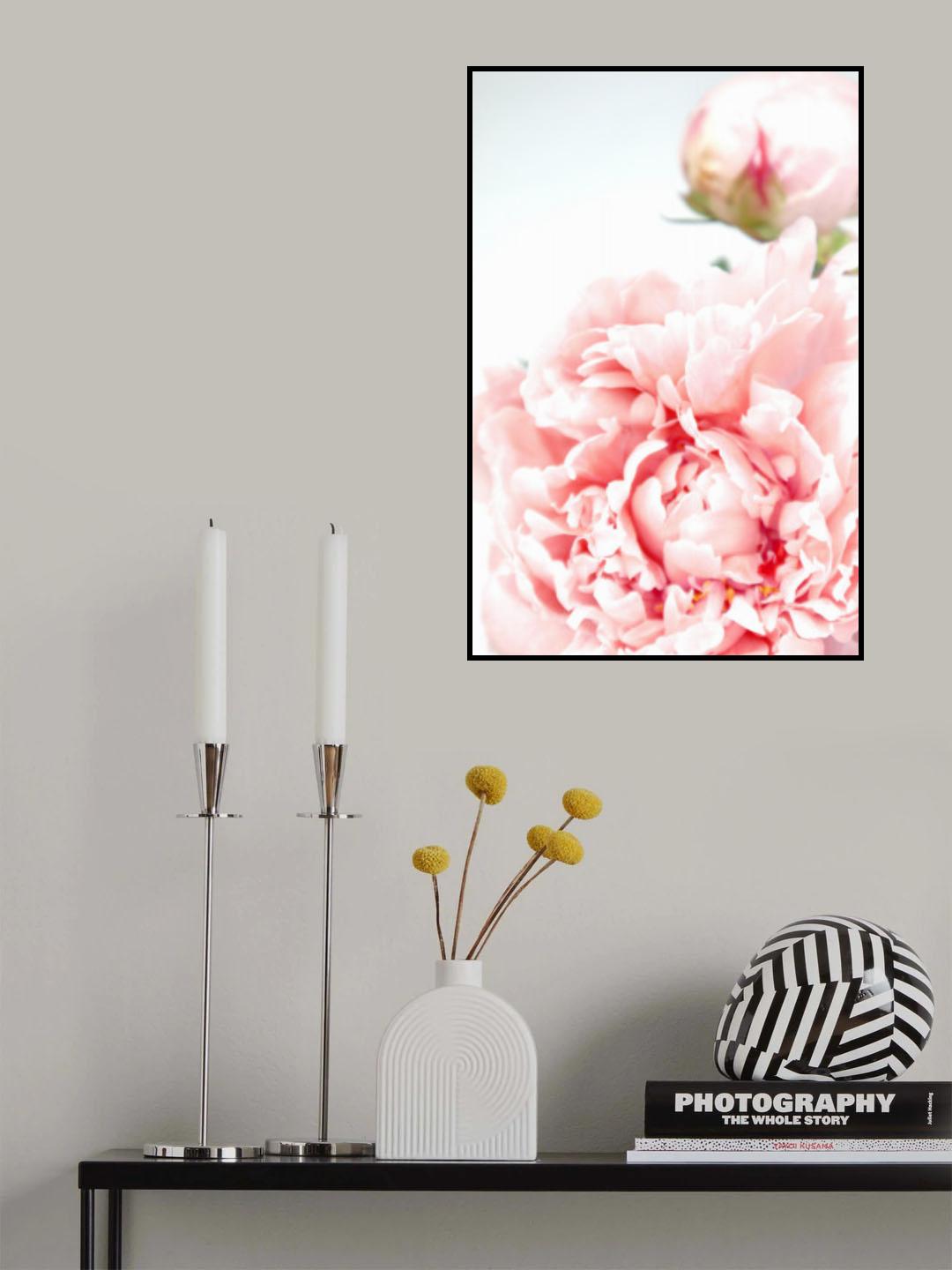 Blush peony IX Poster och Canvastavla