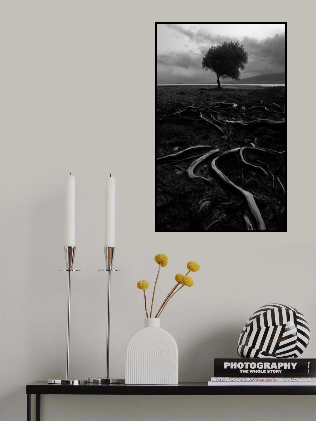 spreading Poster och Canvastavla