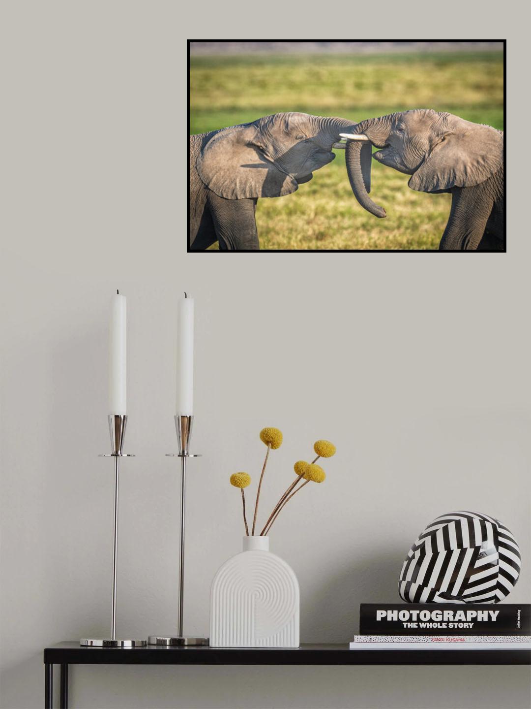 Trunk to Trunk... Poster och Canvastavla