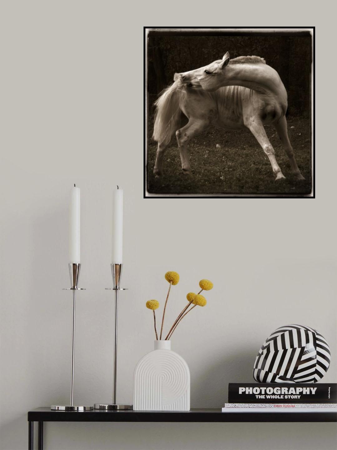 Fighter Poster och Canvastavla