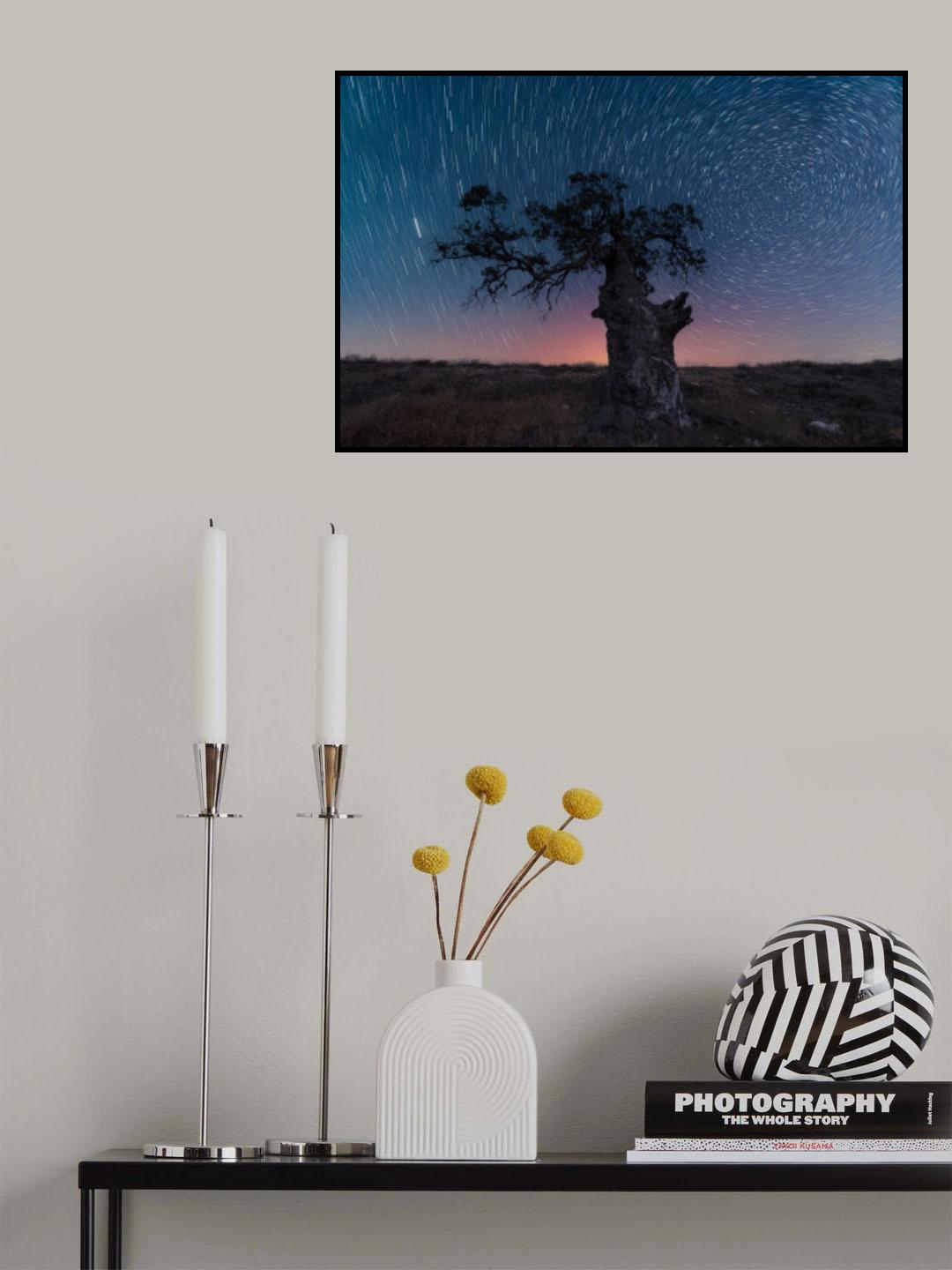 the circumpolar tree Poster och Canvastavla
