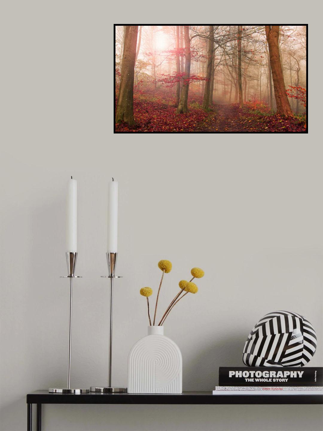 Forest scene. Poster och Canvastavla