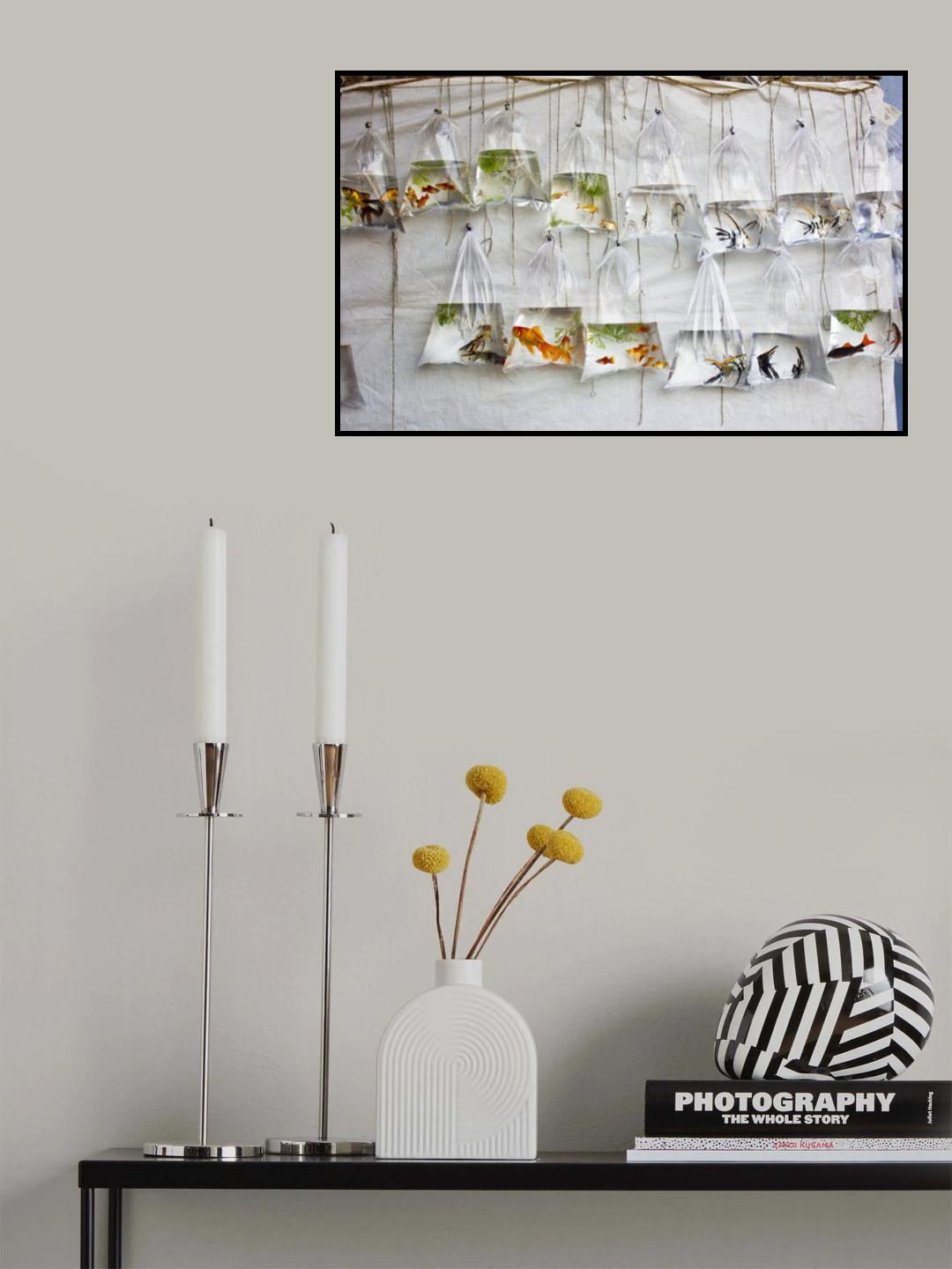 The Wall of Fish Poster och Canvastavla