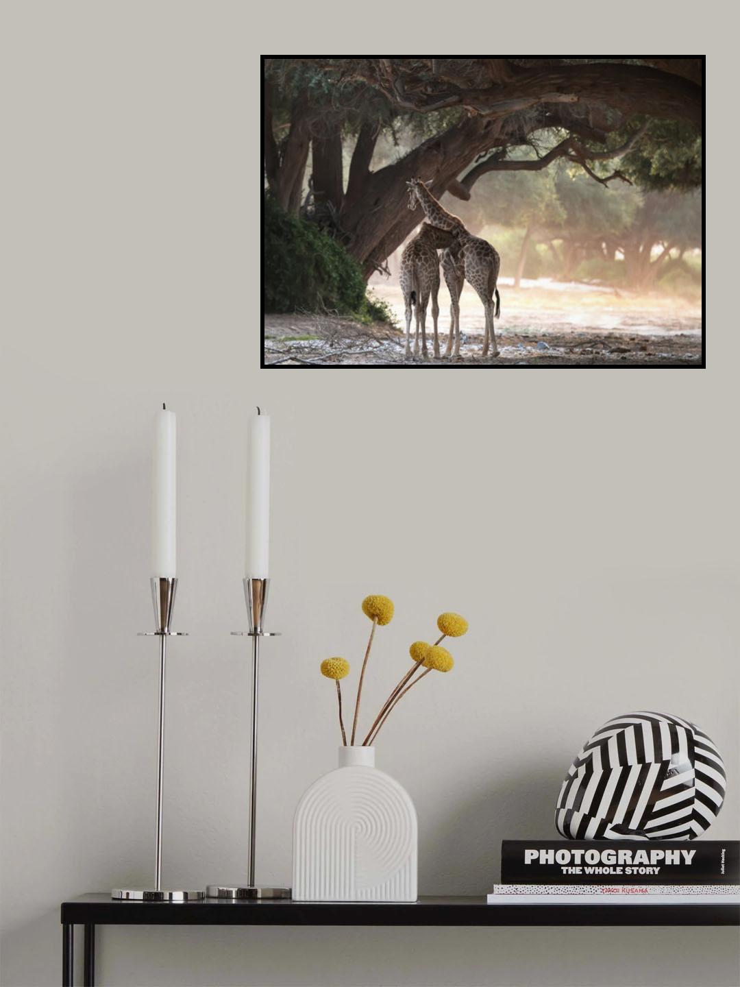 Giraffe Poster och Canvastavla